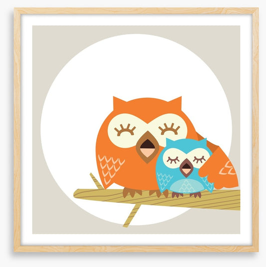 Owls