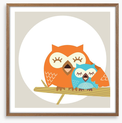 Owls