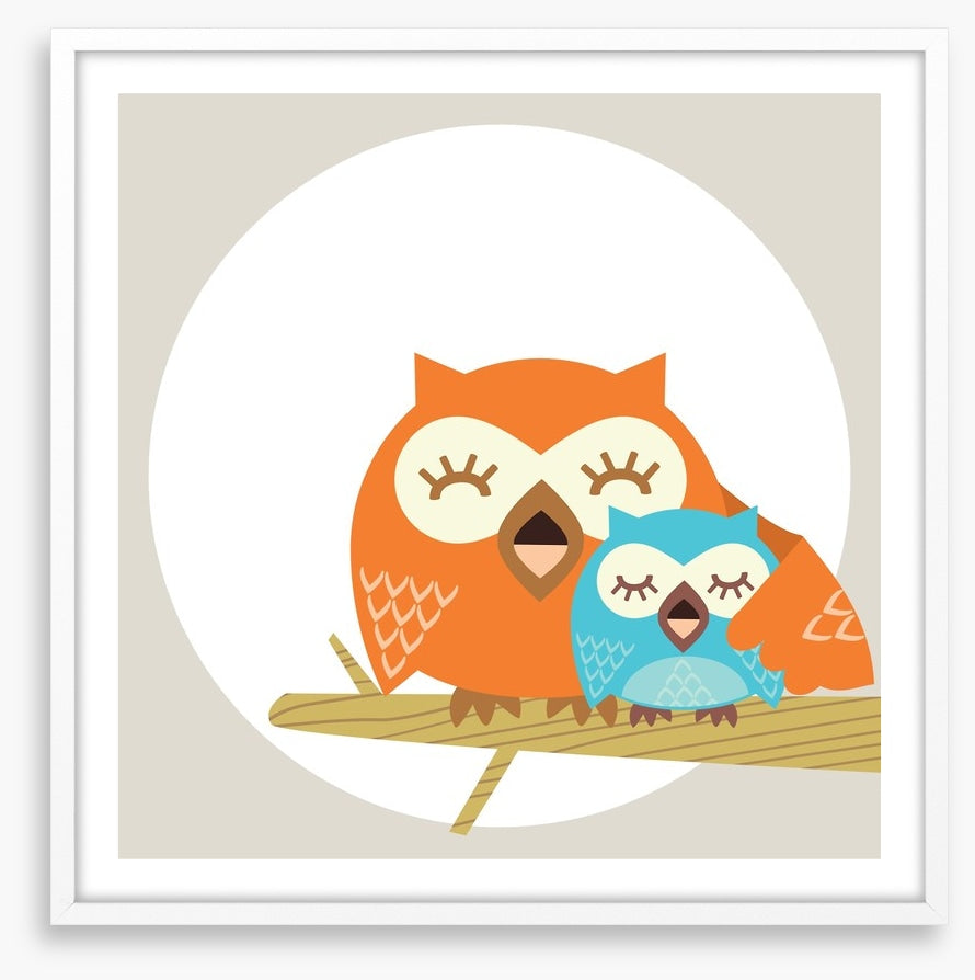Owls
