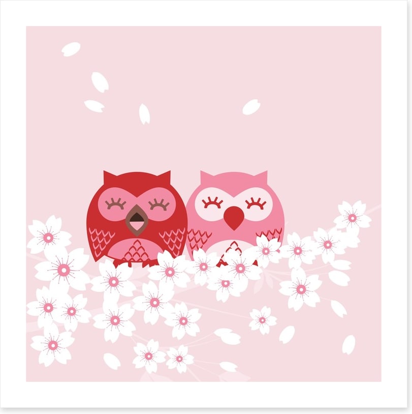 Pink owls