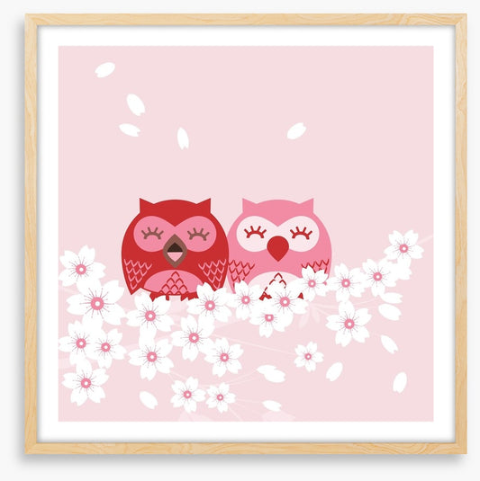Pink owls