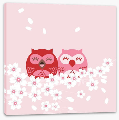 Pink owls