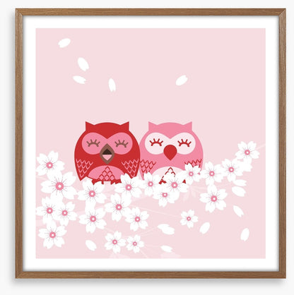 Pink owls