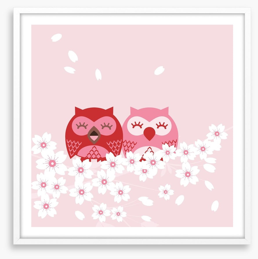 Pink owls