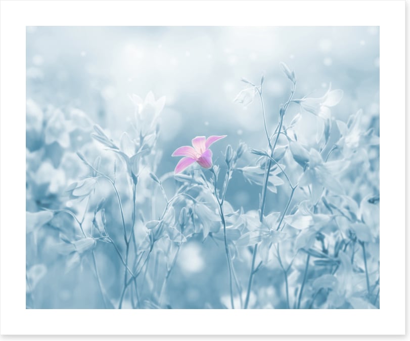 Winter farewell