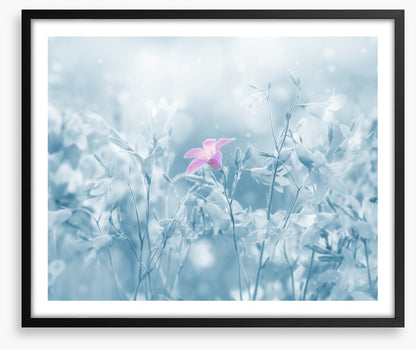 Winter farewell