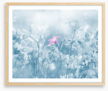 Winter farewell