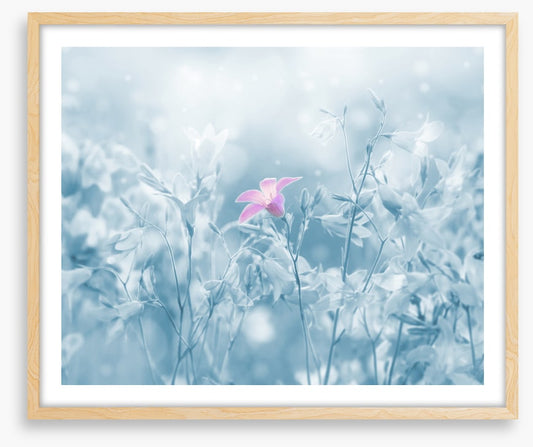 Winter farewell