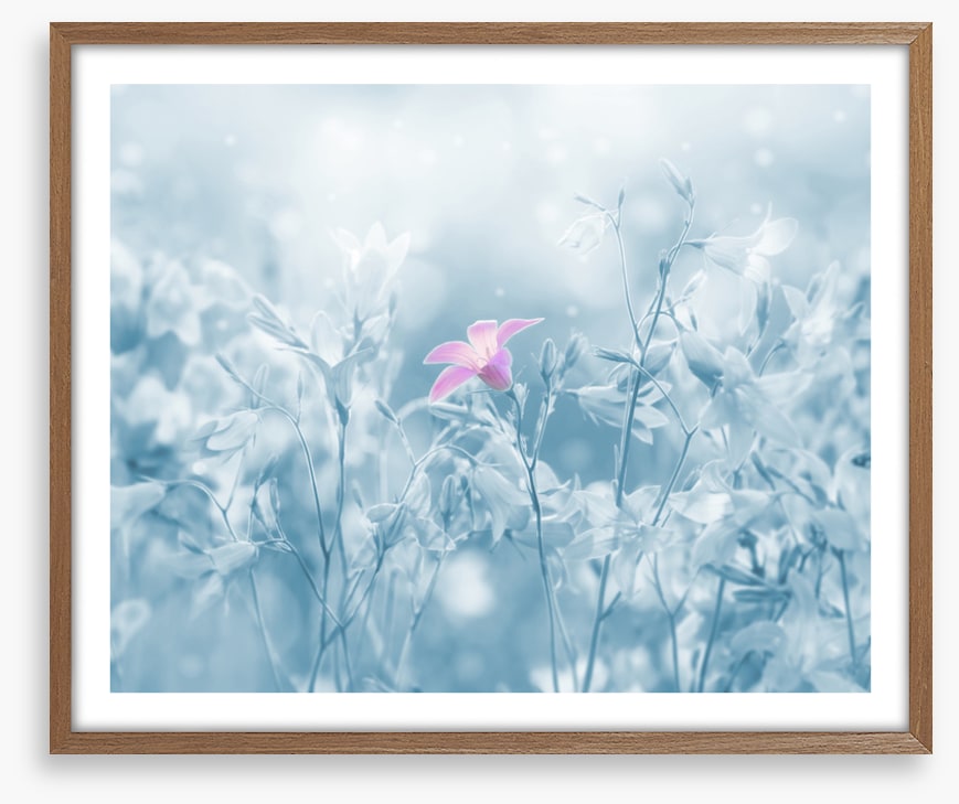 Winter farewell
