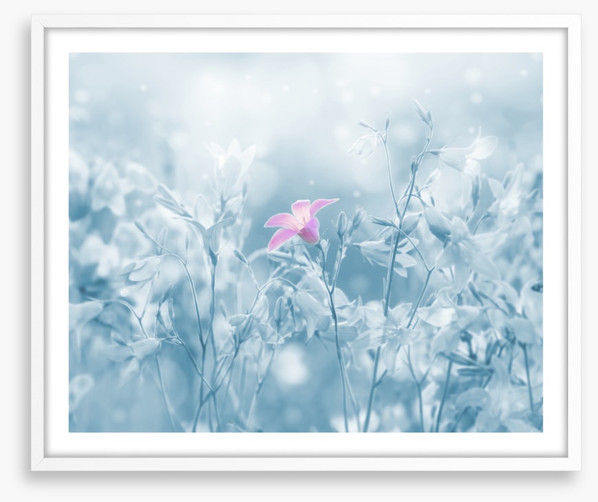 Winter farewell