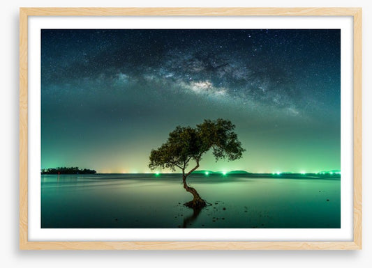 Milky Way mangrove