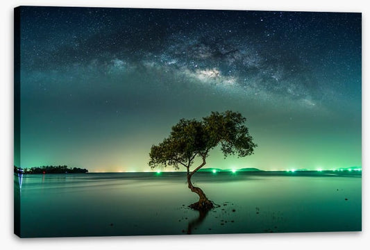 Milky Way mangrove