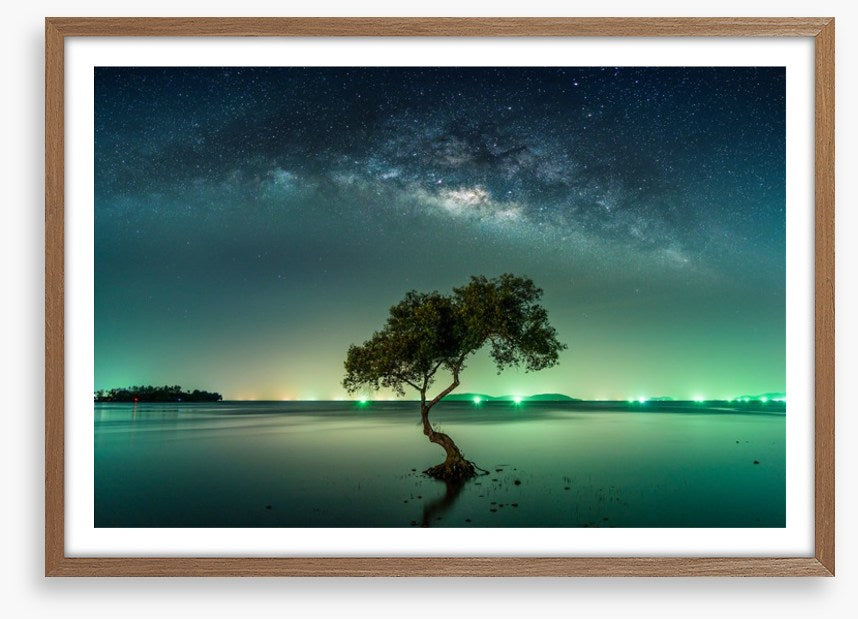 Milky Way mangrove