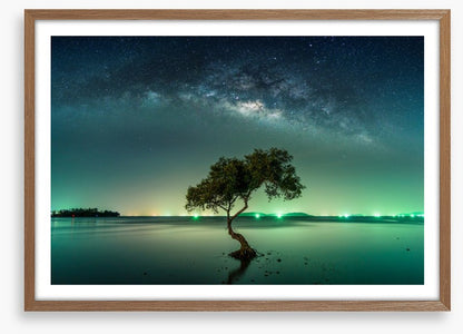 Milky Way mangrove