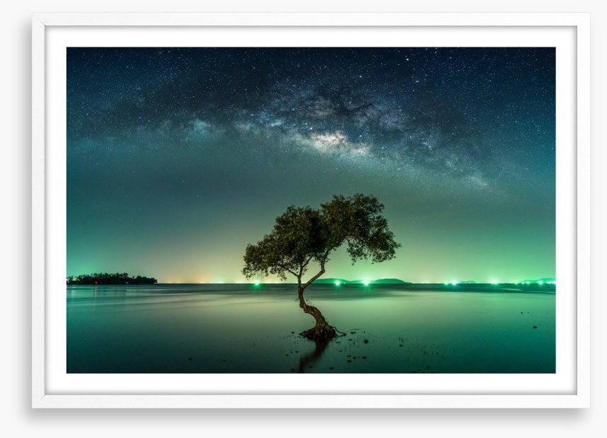 Milky Way mangrove