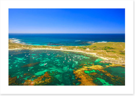 Narrow Neck greens