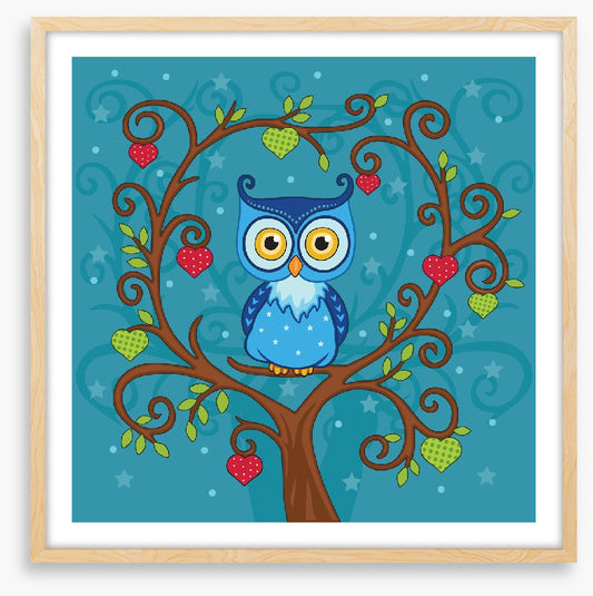 Owls