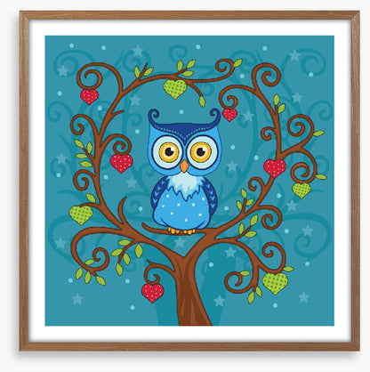 Owls