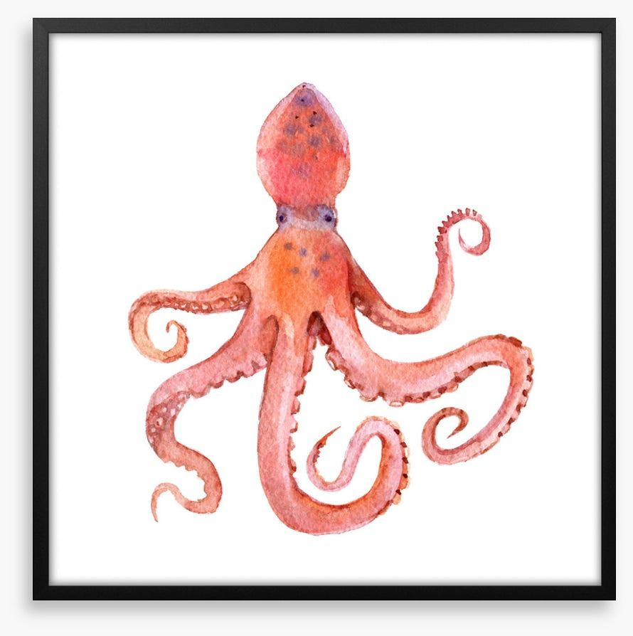 Calamari coming