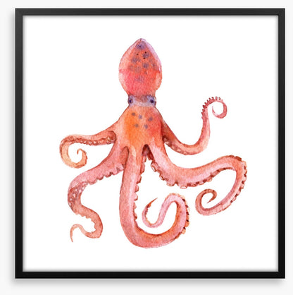Calamari coming