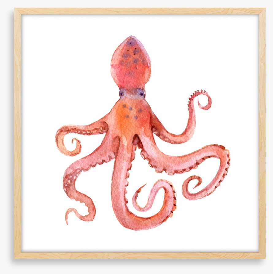 Calamari coming