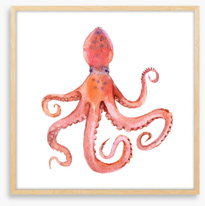 Calamari coming
