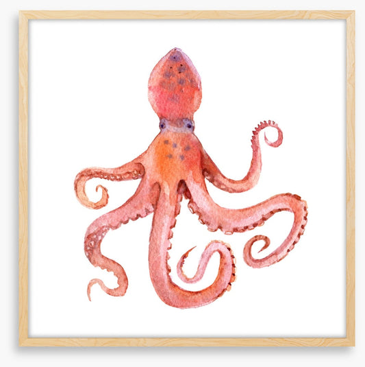 Calamari coming