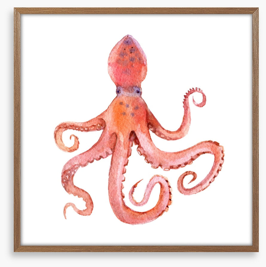 Calamari coming