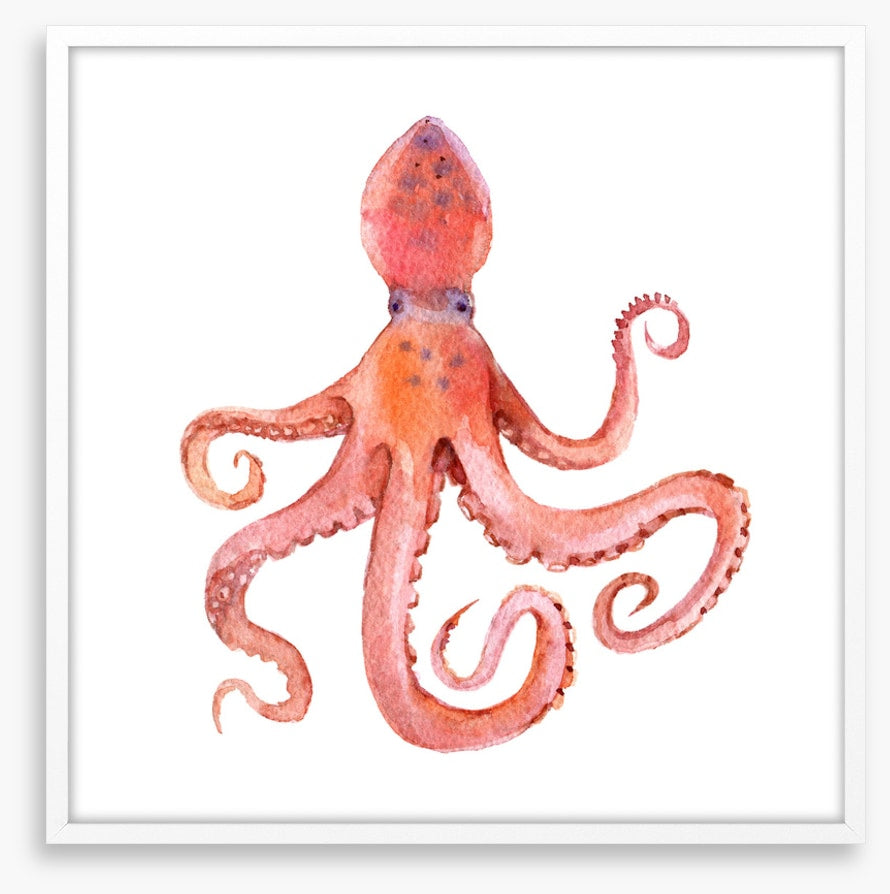 Calamari coming