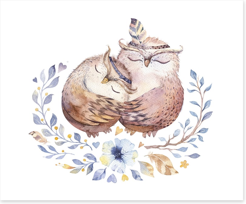 Owls