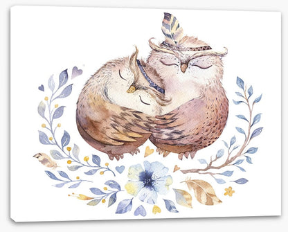 Owls