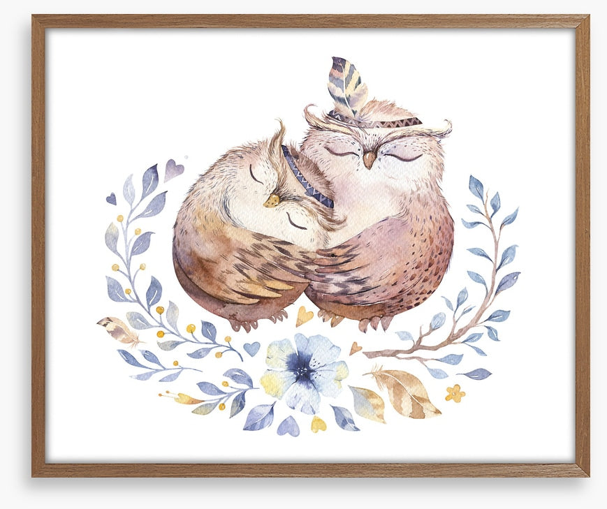 Owls