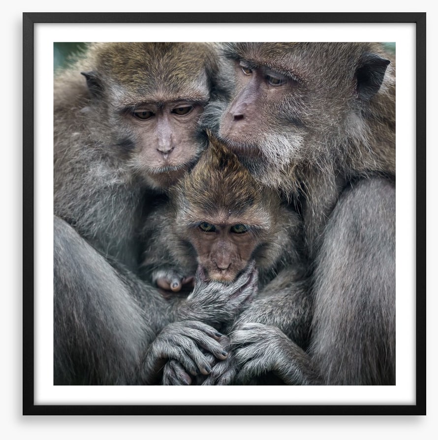 Family hug
