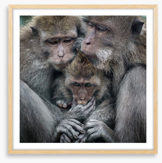 Family hug