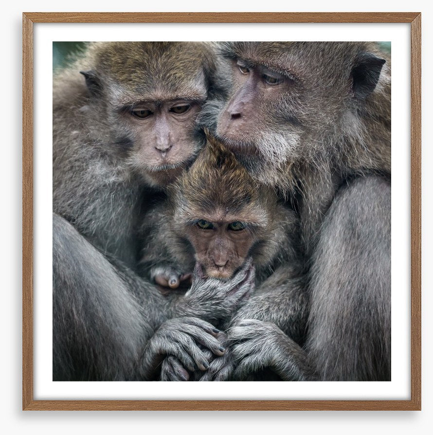 Family hug