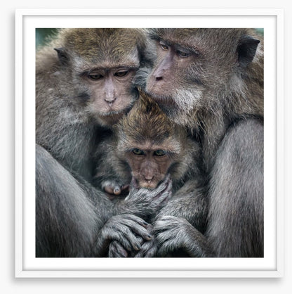 Family hug
