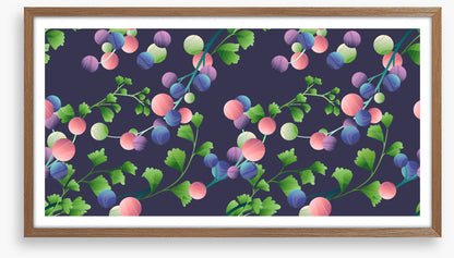 Plants and planets