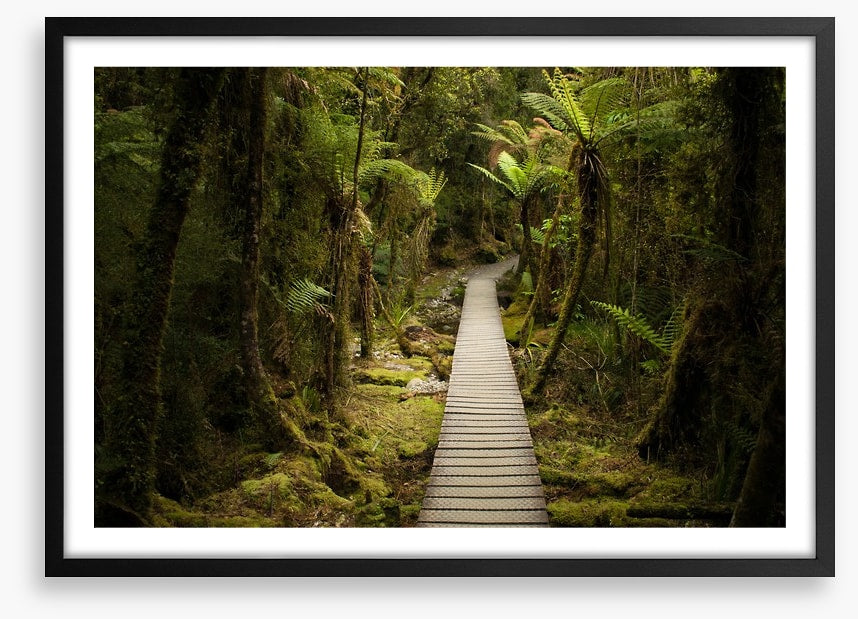 Follow me forest