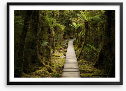 Follow me forest