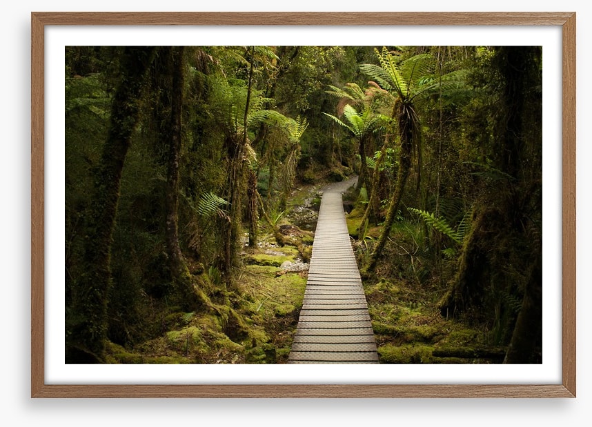 Follow me forest