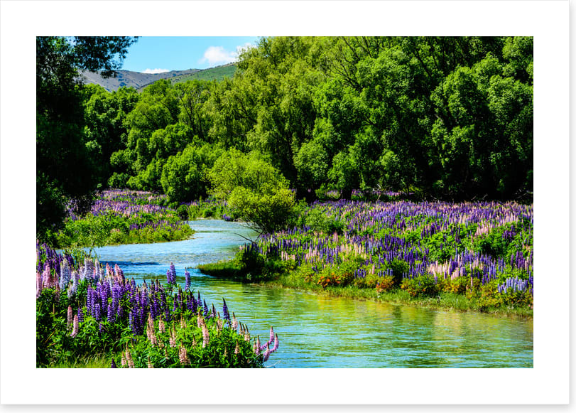 Flowering flow
