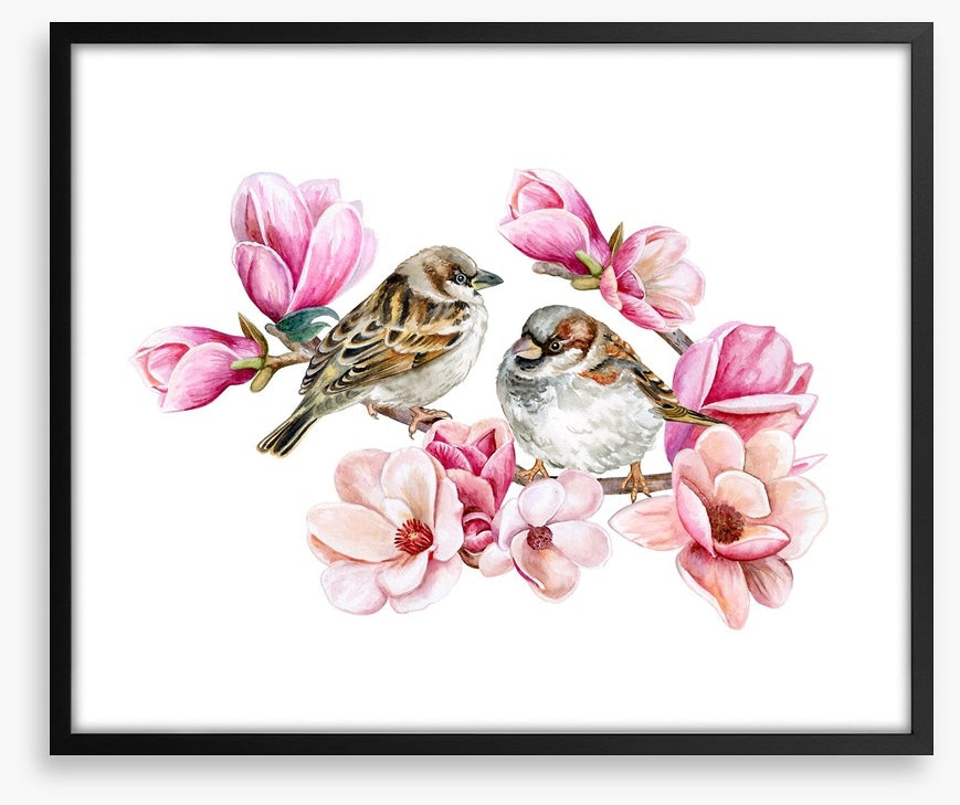 Sparrows in the magnolia