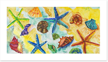 Starry starry shells