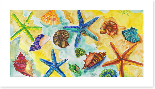 Starry starry shells