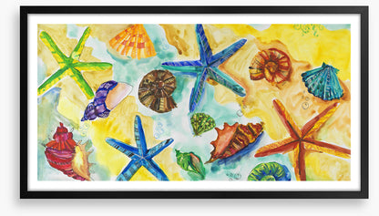 Starry starry shells
