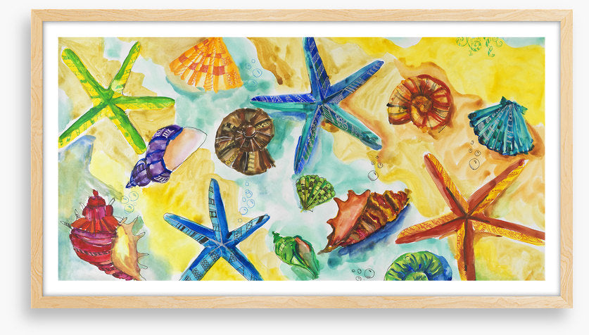 Starry starry shells