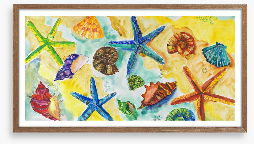 Starry starry shells