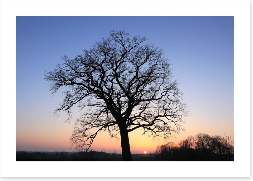 Sky silhouette