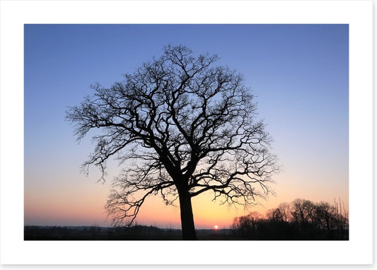 Sky silhouette