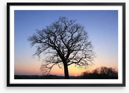 Sky silhouette